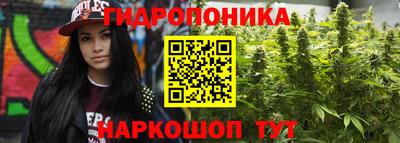 прущие крисы Кунгур