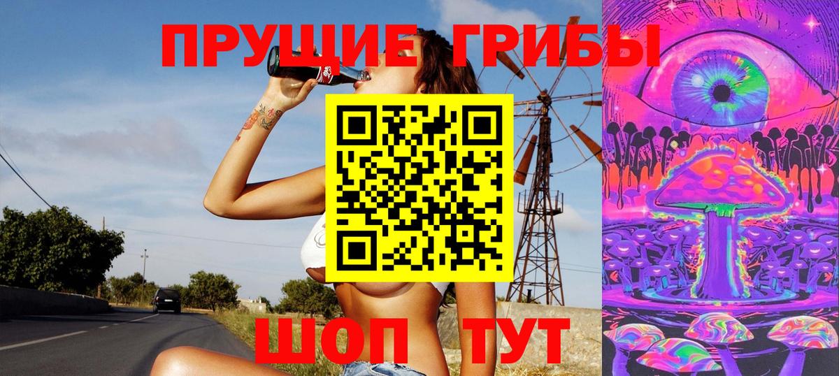 Псилоцибиновые грибы прущие грибы  Вход с VPN  Гусев  Псилоцибиновые грибы мухоморы 