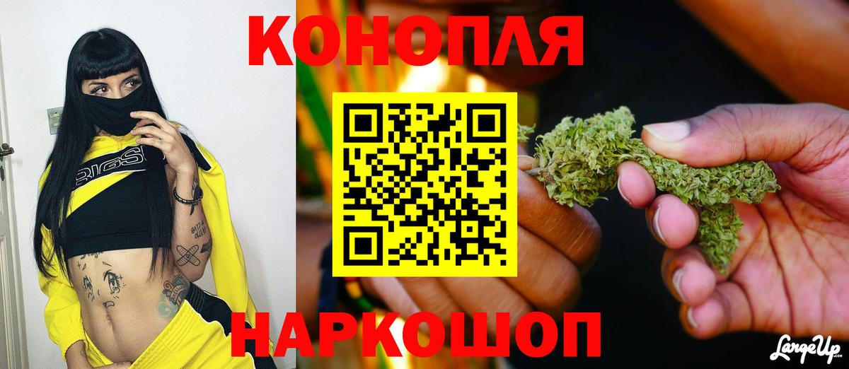 Канабис сатива Гусев
